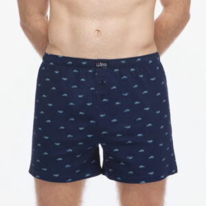 Pánské trenky Gino vícebarevné (75216-DCMDYM) L