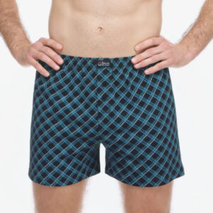 Pánské trenky Gino vícebarevné (75218-MxCMxB) L