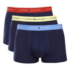 3PACK pánské boxerky Tommy Hilfiger modré (UM0UM03890 06L) L