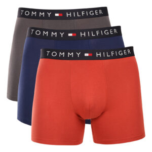 3PACK pánské boxerky Tommy Hilfiger vícebarevné (UM0UM03764 0UM) L