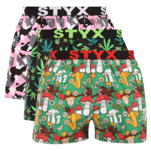 3PACK pánské trenky Styx art sportovní guma vícebarevné (3B18890)