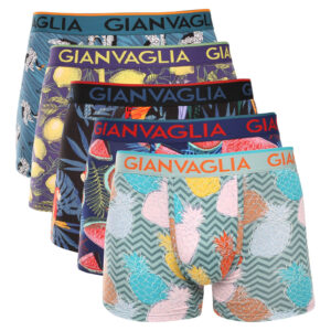 5PACK pánské boxerky Gianvaglia vícebarevné (GVG-5072)