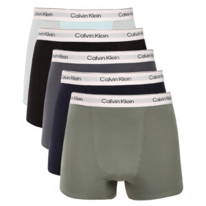 5PACK pánské boxerky Calvin Klein vícebarevné (NB4437-40A) L