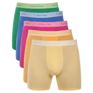 5PACK pánské boxerky Calvin Klein vícebarevné (NB4551-4WI) L