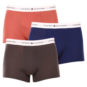 Poškozený obal - 3PACK pánské boxerky Tommy Hilfiger vícebarevné (UM0UM02761 0TF) XXL
