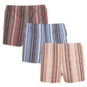 3PACK klasické pánské trenky Foltýn vícebarevné nadrozměr (KN757677) 4XL