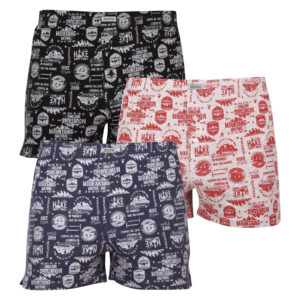 3PACK pánské trenky Andrie vícebarevné (PS 5676) L