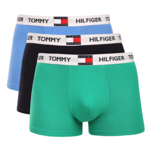 3PACK pánské boxerky Tommy Hilfiger vícebarevné (UM0UM03835 0WB) L