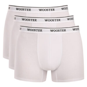 3PACK pánské boxerky Wooster bílé (W-631) XL