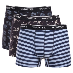 3PACK pánské boxerky Wooster vícebarevné (W-200) XXL