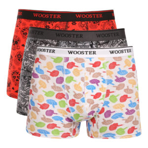 3PACK pánské boxerky Wooster vícebarevné (W-201) S