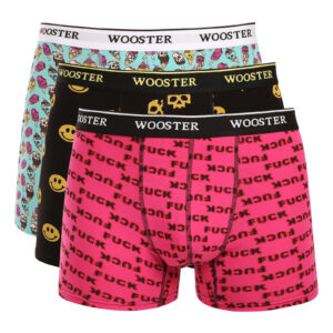 3PACK pánské boxerky Wooster vícebarevné (W-202) S
