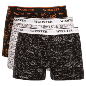 3PACK pánské boxerky Wooster vícebarevné (W-203) L