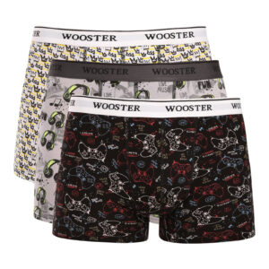 3PACK pánské boxerky Wooster vícebarevné (W-204) L
