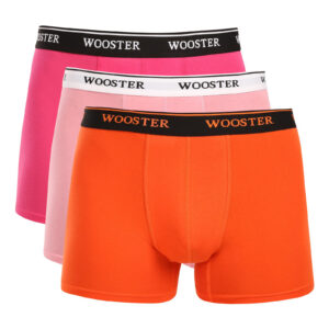 3PACK pánské boxerky Wooster vícebarevné (W-600) XL