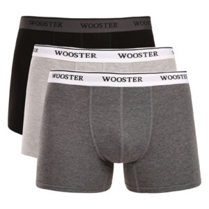 3PACK pánské boxerky Wooster vícebarevné (W-601) XL
