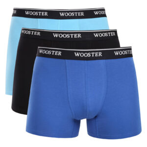 3PACK pánské boxerky Wooster vícebarevné (W-602) XXL
