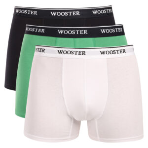 3PACK pánské boxerky Wooster vícebarevné (W-603) XL