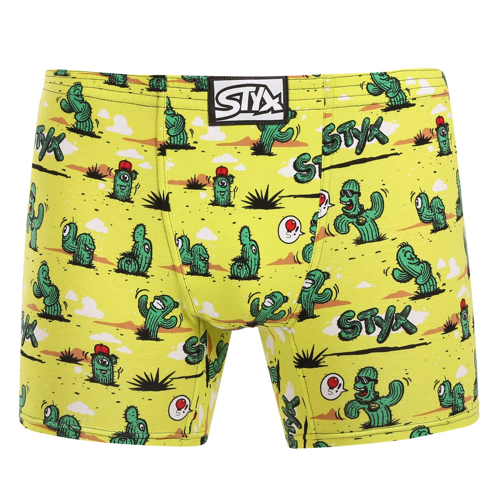 Pánské boxerky Styx long art klasická guma kaktusy (FN1351) S
