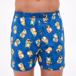 Pánské trenky Cornette Classic nadrozměr vícebarevné (011/178) 4XL