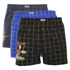 3PACK Pánské trenky Andrie vícebarevné (PS 5900) M