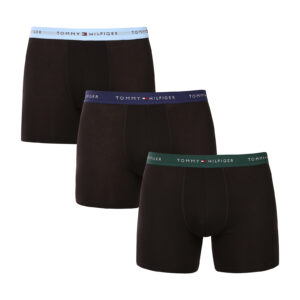 3PACK pánské boxerky Tommy Hilfiger černé (UM0UM02765 0TQ) M
