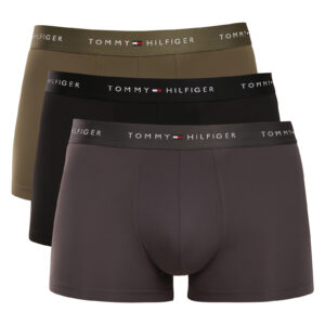 3PACK pánské boxerky Tommy Hilfiger vícebarevné (UM0UM03877 0TO) XXL