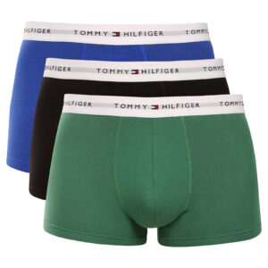 3PACK pánské boxerky Tommy Hilfiger vícebarevné (UM0UM03889 0WF) L