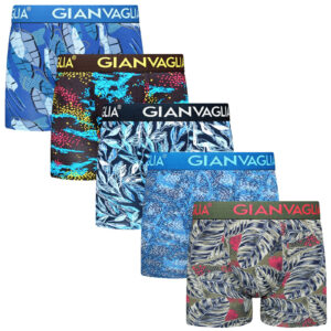 5PACK pánské boxerky Gianvaglia vícebarevné (GVG-5074) L