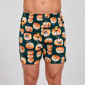 Pánské trenky Cornette Comfort vícebarevné (001/195) L