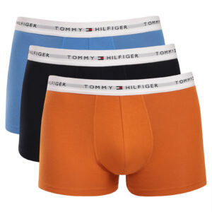 3PACK pánské boxerky Tommy Hilfiger vícebarevné (UM0UM03889 0VO) L