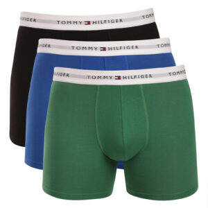 3PACK pánské boxerky Tommy Hilfiger vícebarevné (UM0UM03892 0WF) M
