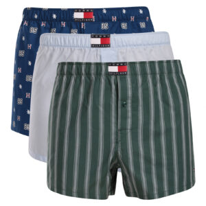 3PACK pánské trenky Tommy Hilfiger vícebarevné (UM0UM03898 09F) M