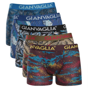 5PACK pánské boxerky Gianvaglia vícebarevné (GVG-5074) L