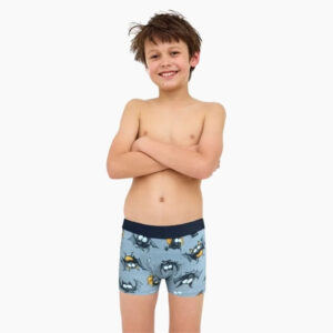 Chlapecké boxerky Cornette Young šedé (700/154) 176