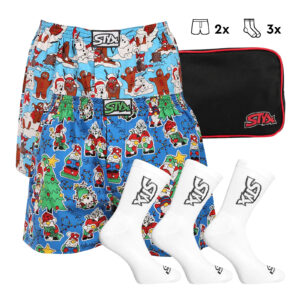 Pánská dárková sada Styx 2PACK trenky a 3PACK ponožky bílé (5SKAHV2) L