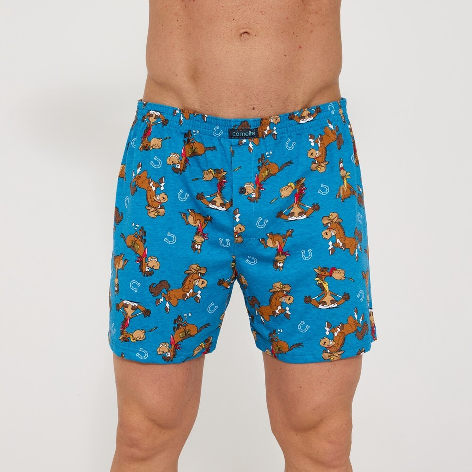 Pánské trenky Cornette Classic nadrozměr vícebarevné (011/191) 5XL